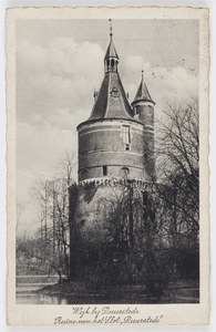 18305 Gezicht op de ruïne van Kasteel Duurstede te Wijk bij Duurstede.